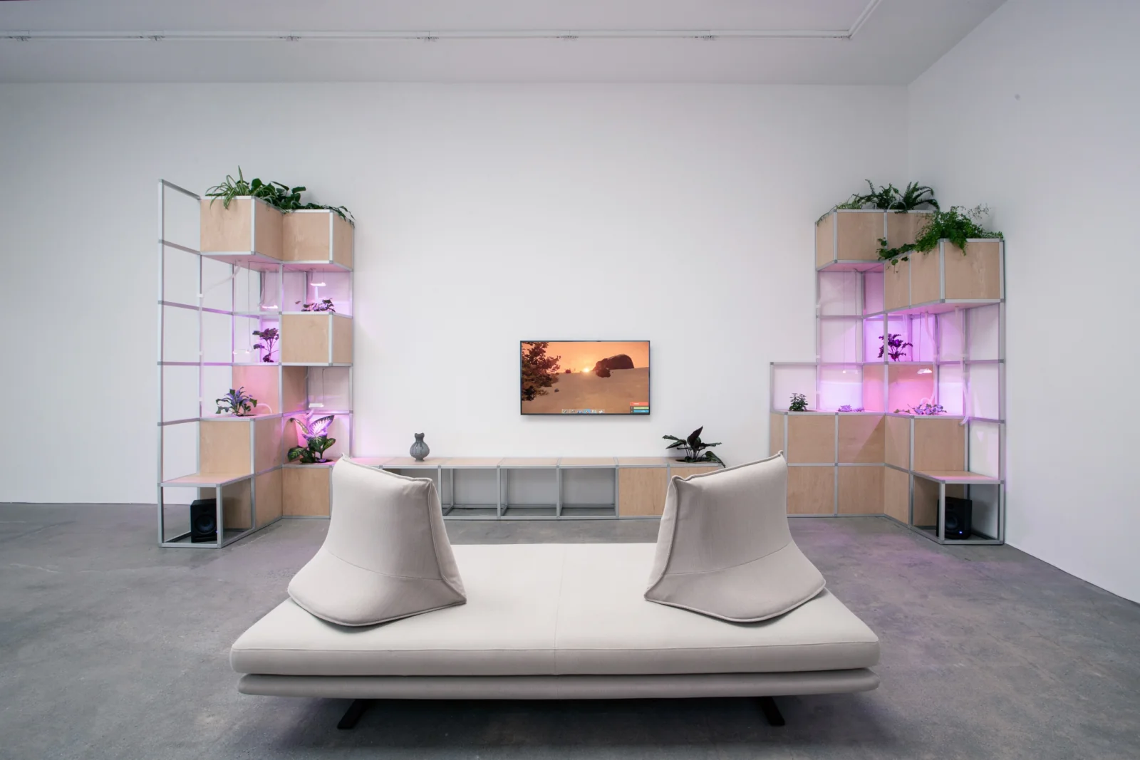 Installation view