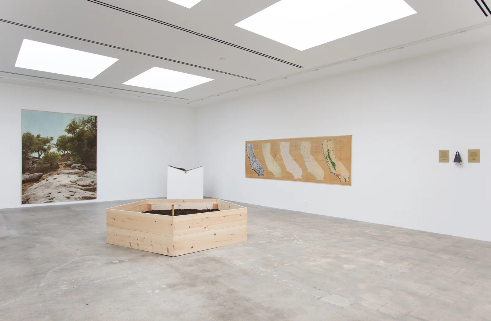 Installation view