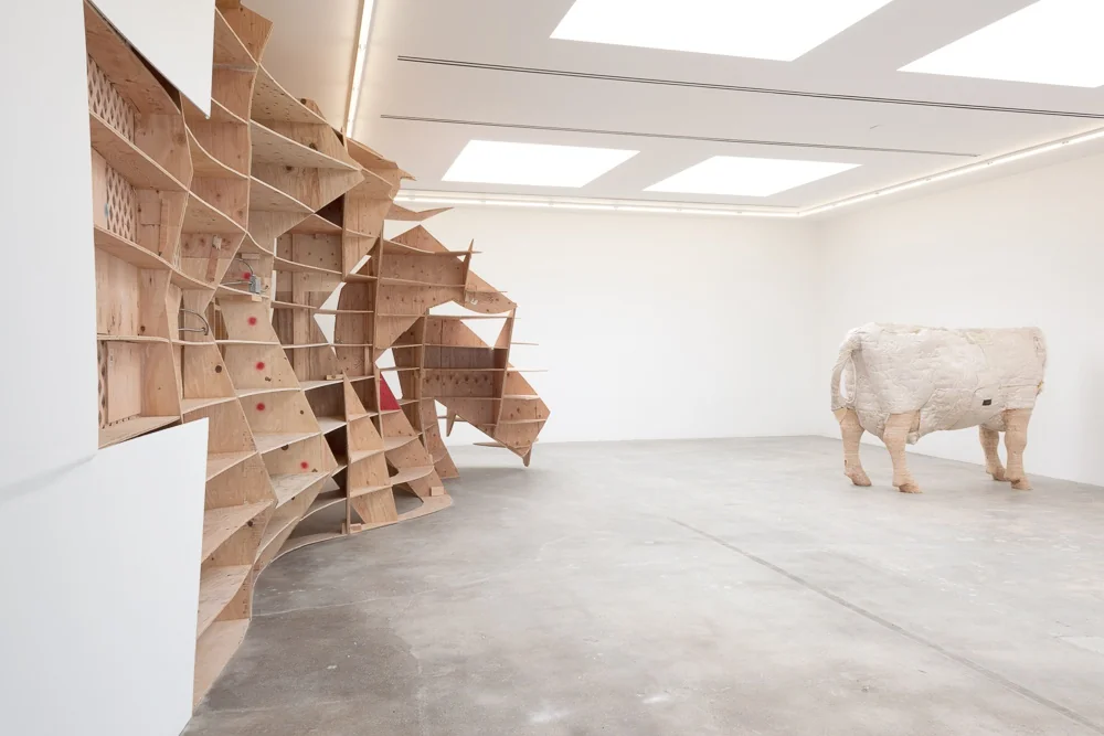 Installation view