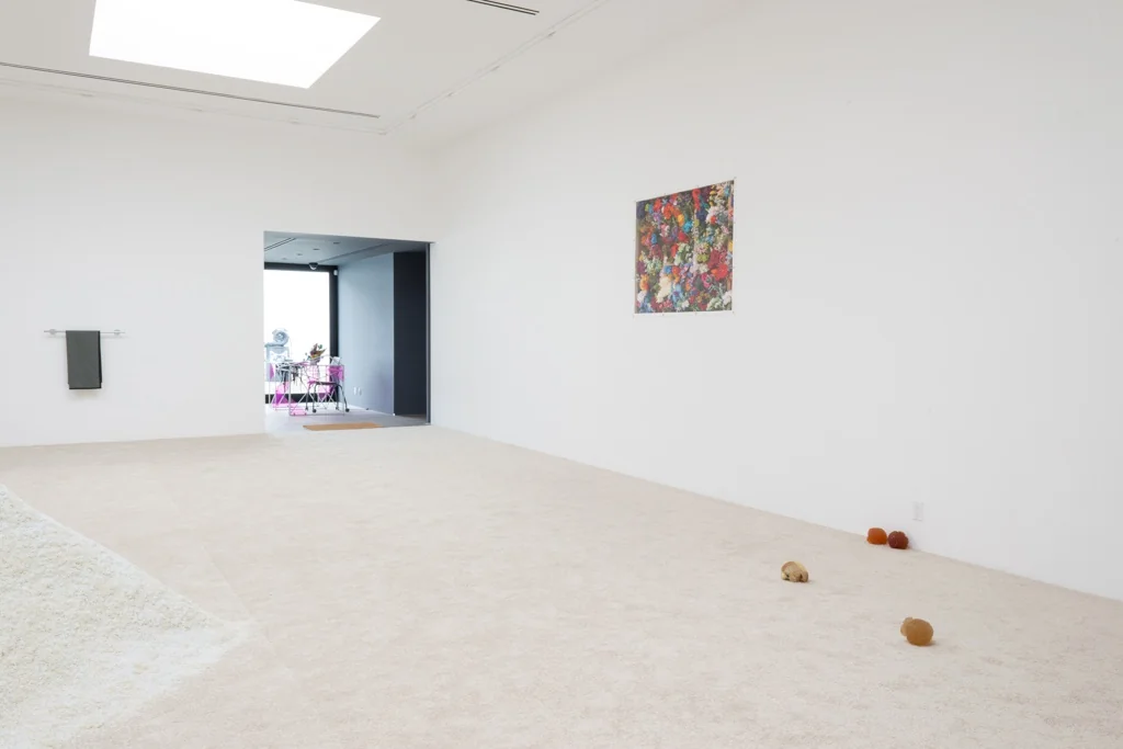 Installation view