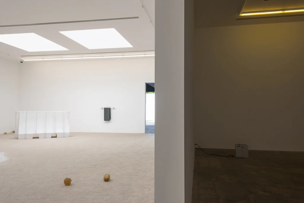 Installation view