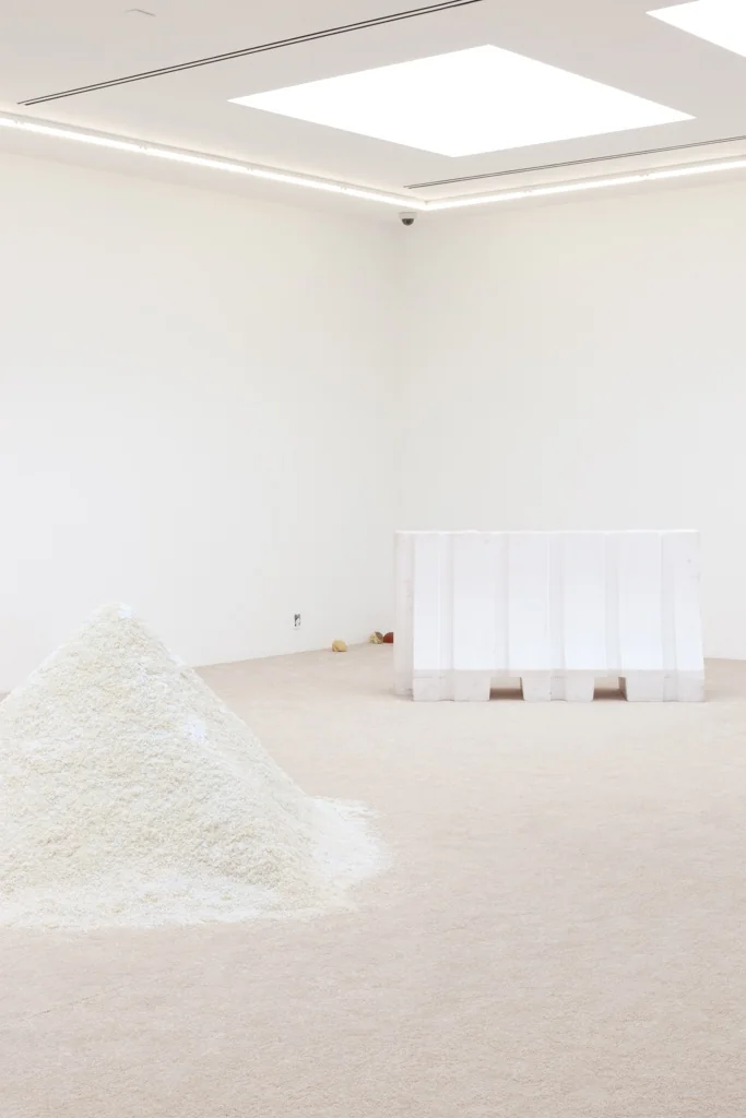 Installation view