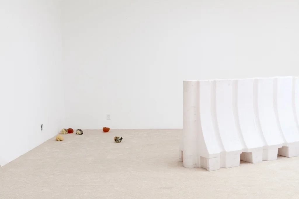 Installation view