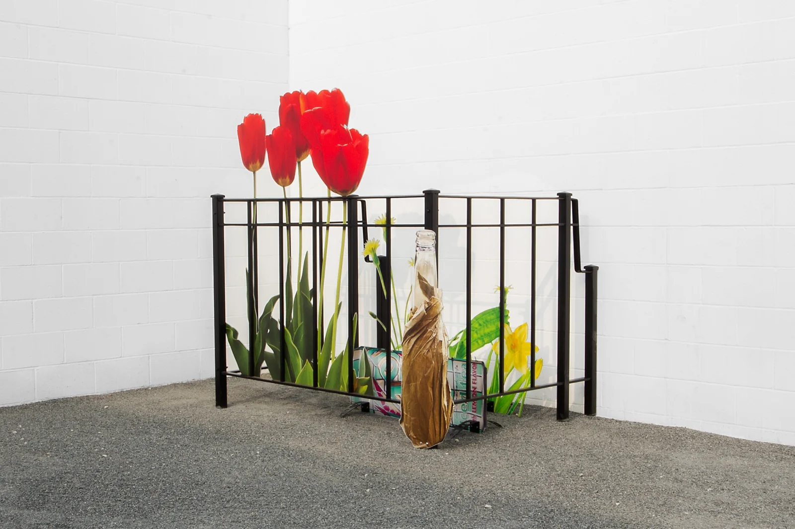 Installation view