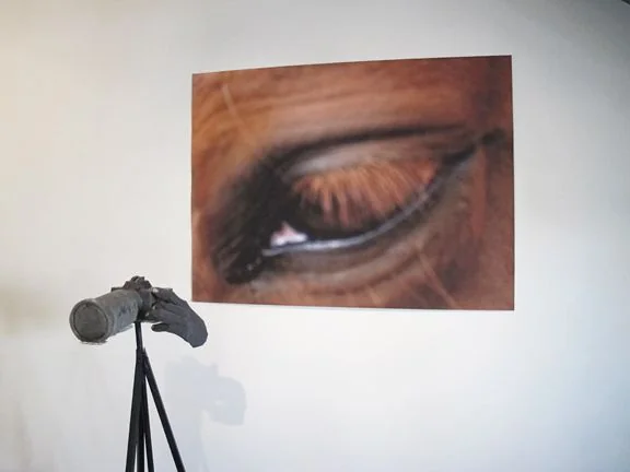 Installation view