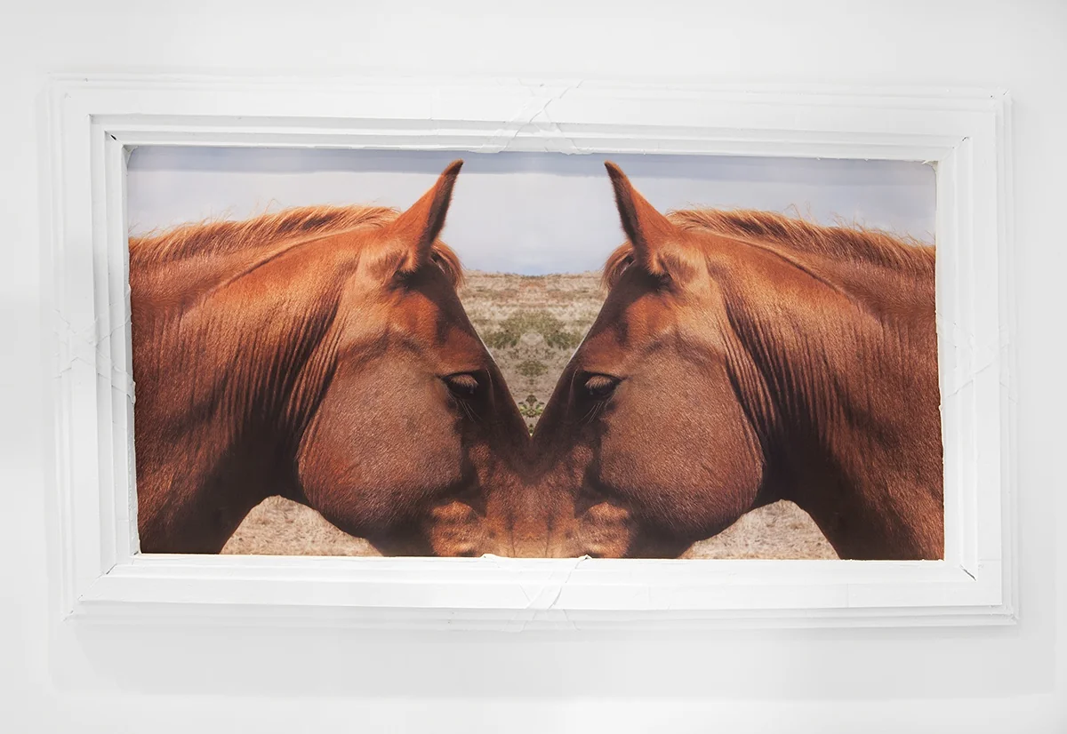 Installation view